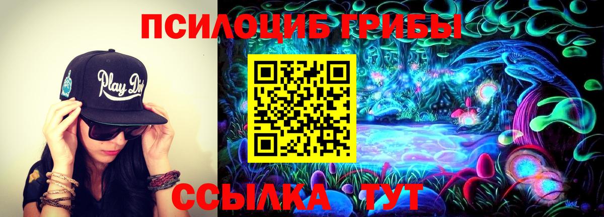 Псилоцибиновые грибы Psilocybine cubensis Гулькевичи